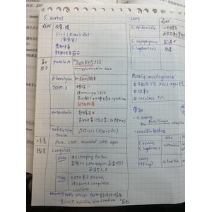 人畜共通+staphylococcus