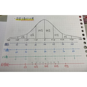 ICF、DSM-5、早療、巡輔、常模分數