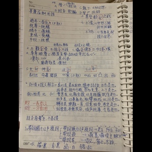 98中區國文筆記