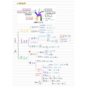 主動脈分支 整理