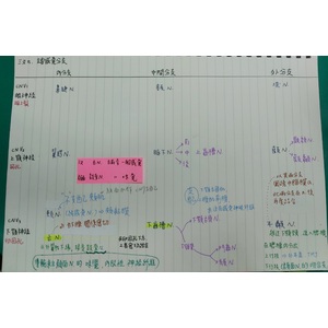 三叉神經相關整理