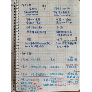 酒的類別&釀造酒