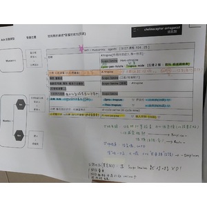 cholinoceptor antagonist