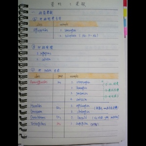 細菌藥物藥敏與黴菌藥物