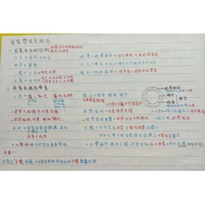 108課綱國家與民主政治