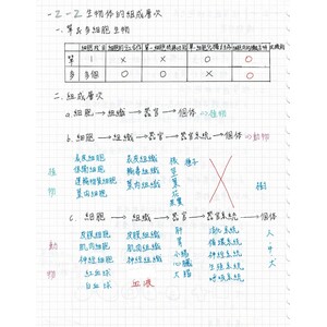 物質進出細胞的方式|滲透作用|生物體的組成層次|食物中的養分