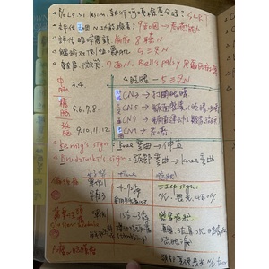 考前常考重點整理