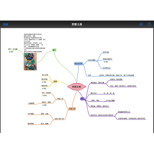 野獸主義心智圖
