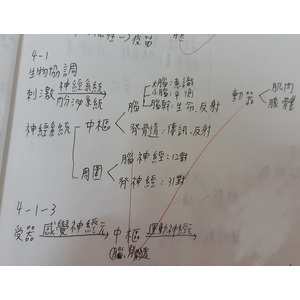 生物L4生物協調作用