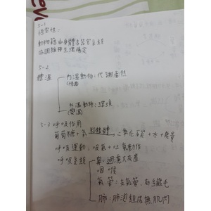 生物L5生物恆定性