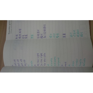 108年 教甄 桃園 國小英文A