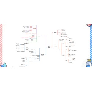 胚胎至新生兒生理發展
