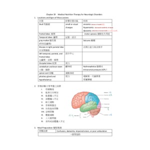 膳療 神經系統疾病