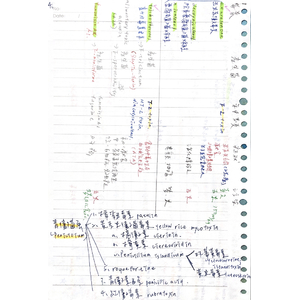 黴菌性毒素 整理