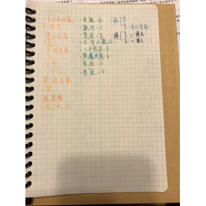 常見成語 形近字 生難字 破音字 字意
