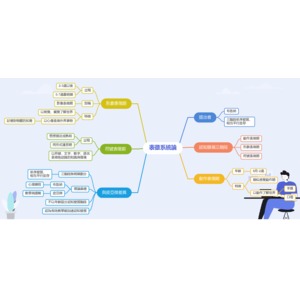 布魯納~系統表徵論