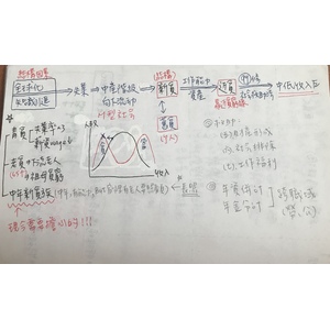 4、台灣的社會政策與立法脈絡