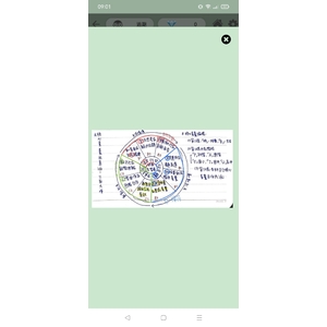 十二年國教核心領域