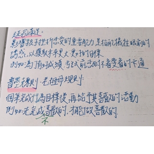 延宕滿足、普墨克原則、學校學程