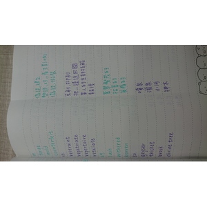 108高雄教甄 單字整理