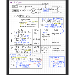 生化- β 氧化 (Beta oxidation)