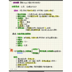 行政學傳統時期