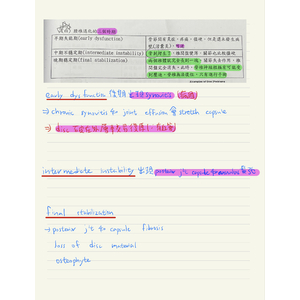 腰椎退化三時期