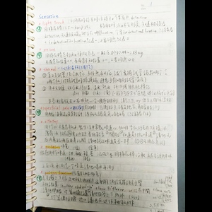 職能治療國考-sensation的評估整理