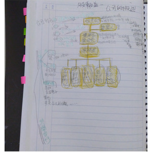 公司概述（樹狀圖）