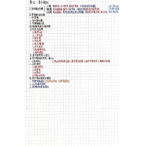 憲法 基本權利義務