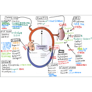 高血壓機轉總圖