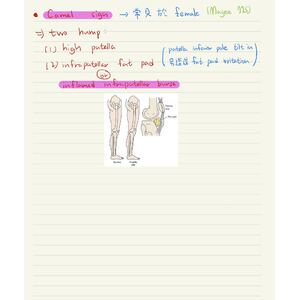 （國考）Knee camel sign