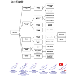 _強心配醣題分類(依科別)