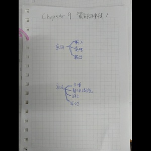 審計之資訊科技