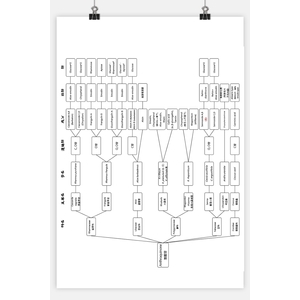 _蒽醌類配醣體分類(依科別)