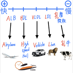 如何記憶脂蛋白的電泳快慢