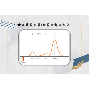 獸醫國考實驗診斷學 - 血漿蛋白質與脂蛋白 全攻略