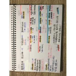 [歷史]第四冊L5~L6