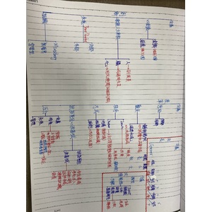 企業管理-組織創新、變革、成長與風險