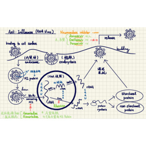 藥理藥化小整理-抗病毒藥