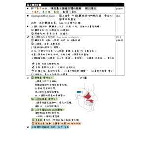 矯正筆記表格整理（鼻上頜複合體及下頜骨生長）