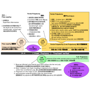 牙髓病學-3
