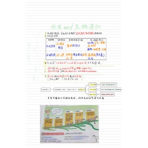 化石”生物演化與生物分類