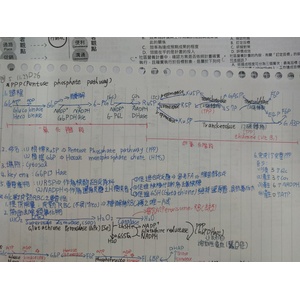 PPP ,pentose phosphate pathway