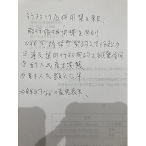 行政行為併用禁止原則