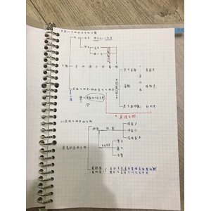 生物的演化分類3-2～3-4